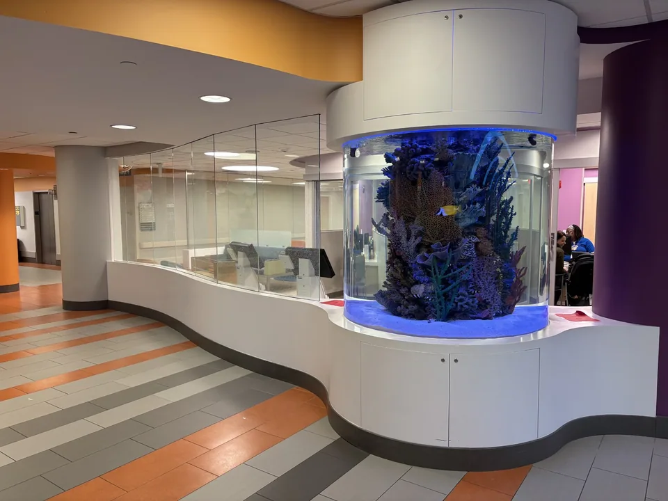 St. Louis Children’s Hospital curved reception casework framing a finished aquarium feature.